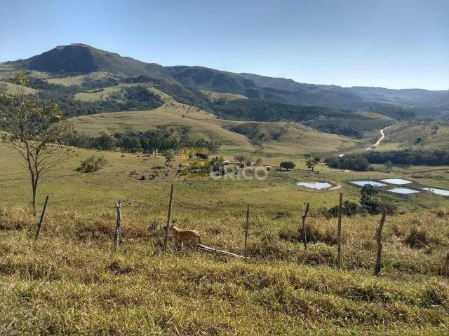 Fazenda venda em Ilicínea, Região Geográfica Intermediária de Varginha