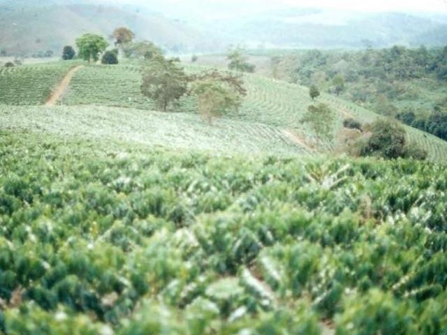 Sítio e chácara venda em Região Geográfica Imediata de Caratinga, Imbé de Minas