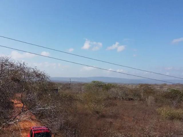 Fazenda venda em Inajá, Região Nordeste