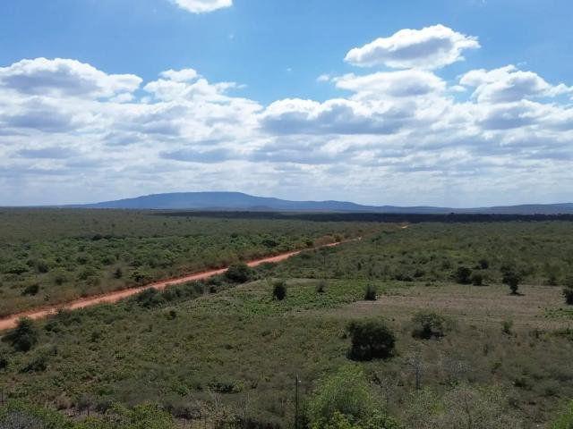 Fazenda venda em Inajá, Região Nordeste