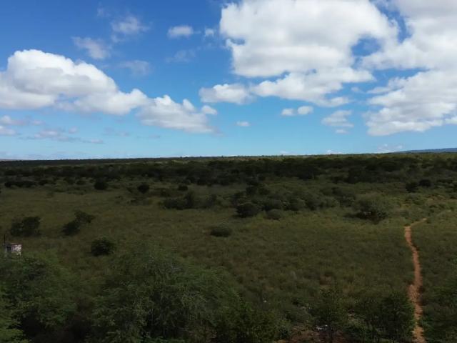 Fazenda venda em Inajá, Região Nordeste