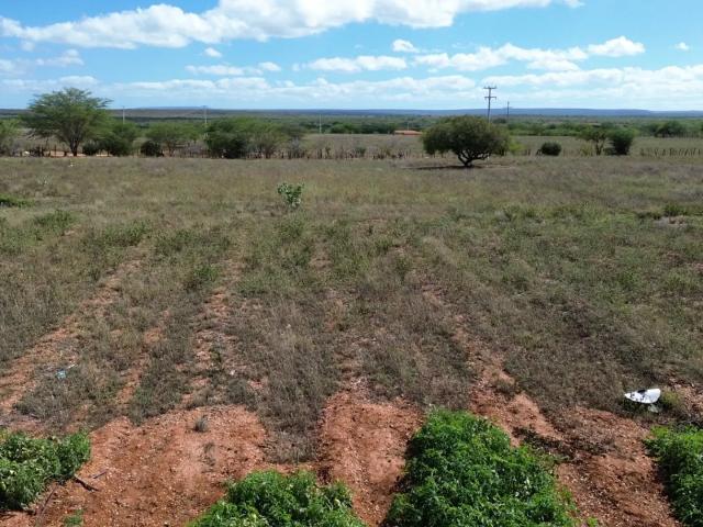 Fazenda venda em Inajá, Região Nordeste