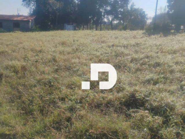Fazenda venda em Região Imediata de Campinas, Região Metropolitana de Campinas