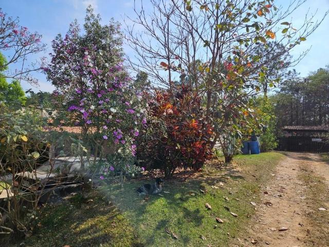 Fazenda venda em Indaiatuba