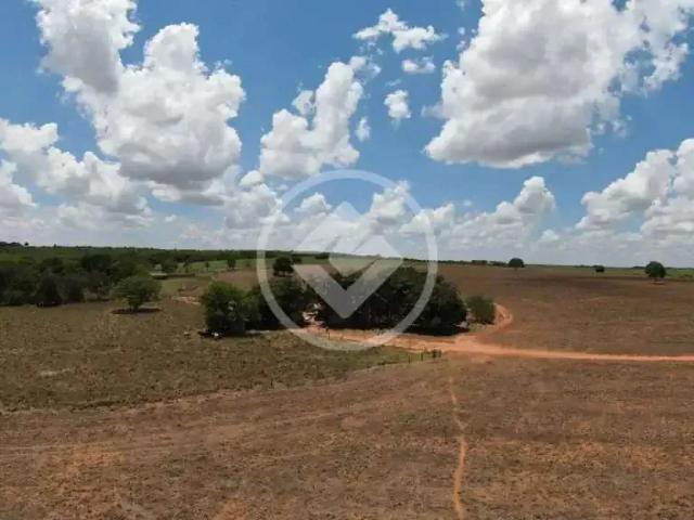 Fazenda venda em Região Geográfica Imediata de Palmeiras de Goiás, Indiara