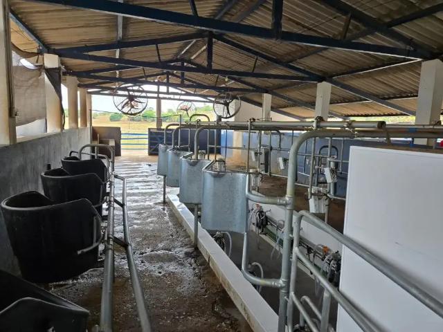 Fazenda venda em Região Geográfica Imediata de Sete Lagoas, Inhaúma