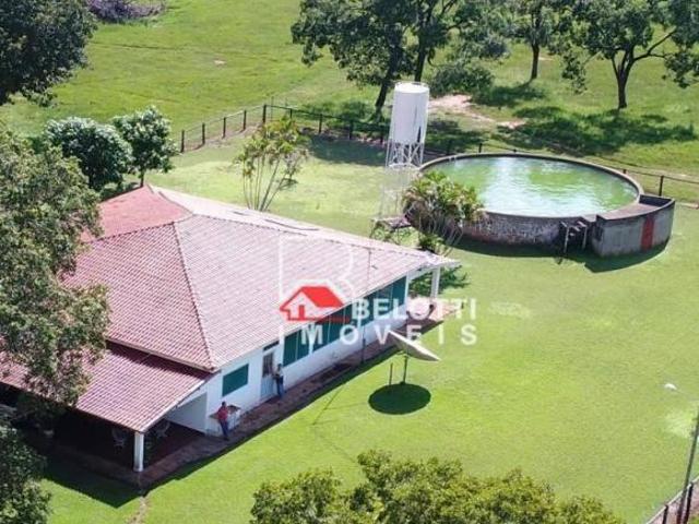 Sítio e chácara venda em Região Geográfica Imediata de Campo Grande, Campo Grande