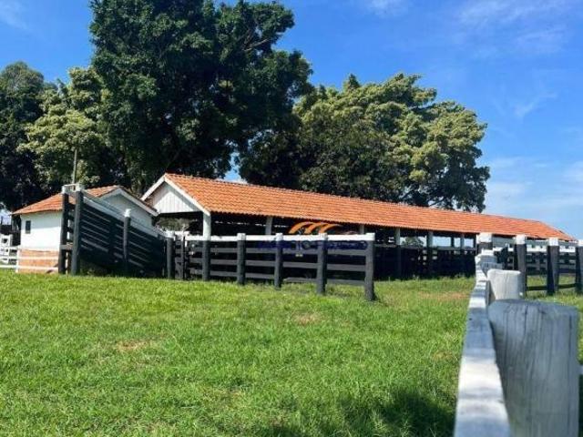 Sítio e chácara venda em Região Geográfica Imediata de Campo Grande, Campo Grande