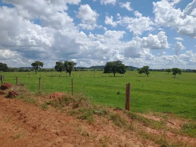 Fazenda venda em Região Geográfica Imediata de Paranaíba - Chapadão do Sul - Cassilândia, Inocência