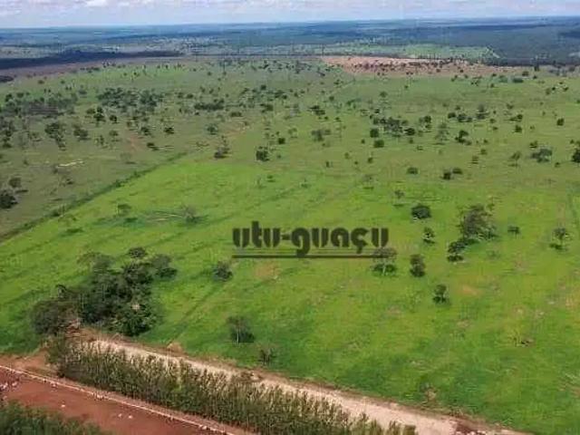 Fazenda venda em Região Geográfica Imediata de Paranaíba - Chapadão do Sul - Cassilândia, Inocência