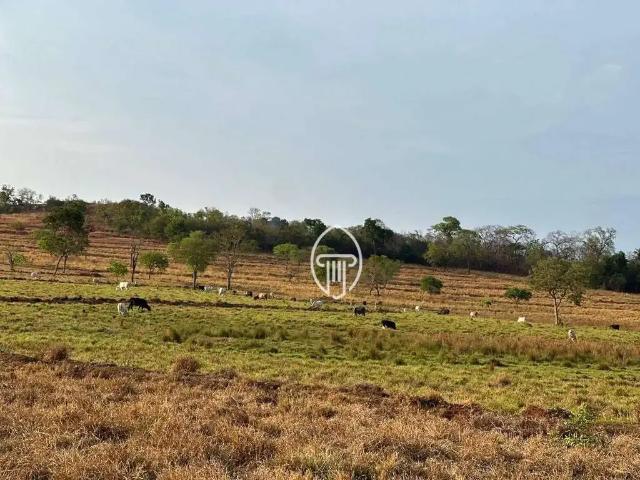 Fazenda venda em Região Geográfica Imediata de Paranaíba - Chapadão do Sul - Cassilândia, Inocência