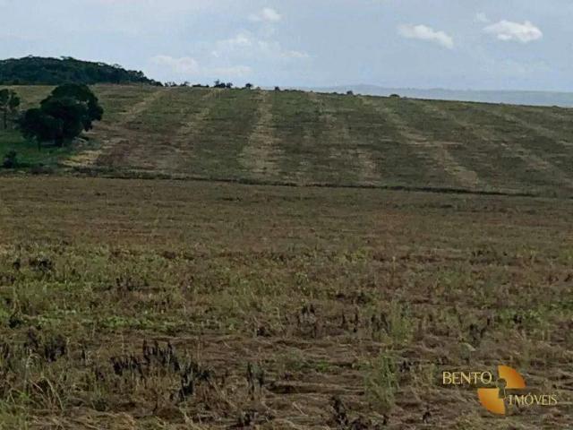 Fazenda venda em Região Geográfica Imediata de Catalão, Davinópolis