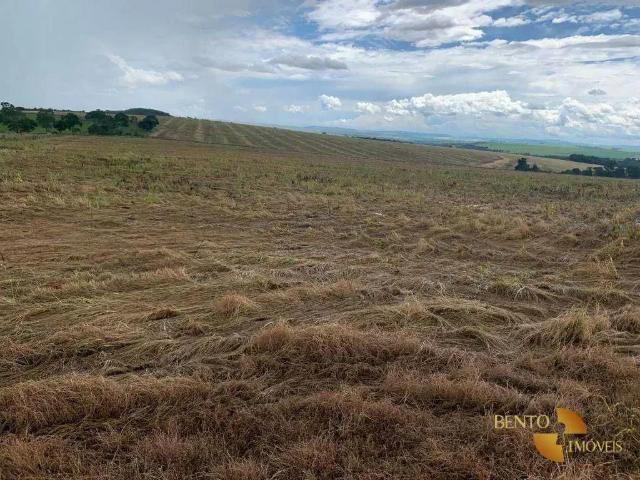 Fazenda venda em Região Geográfica Imediata de Catalão, Davinópolis