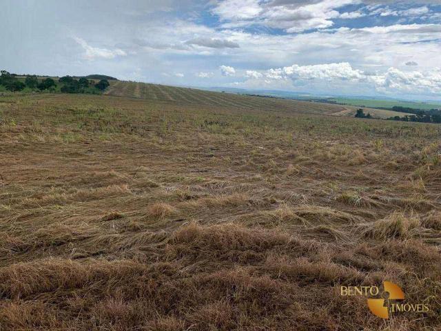 Fazenda venda em Davinópolis, Região Geográfica Intermediária de Goiânia