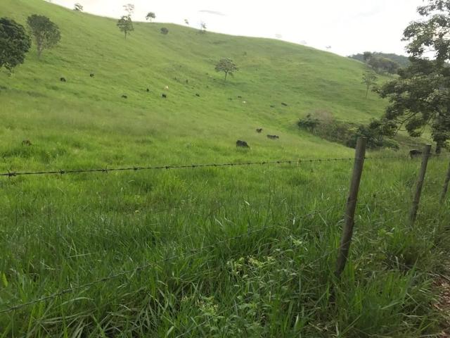 Fazenda venda em Região Geográfica Imediata de Manhuaçu, Ipanema