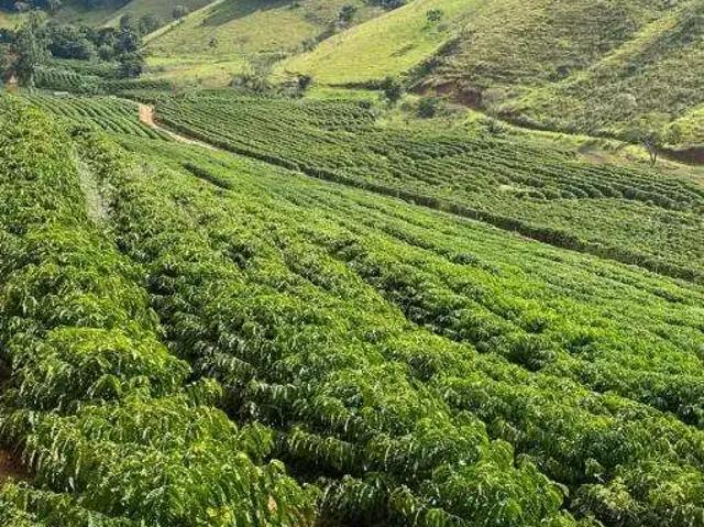 Fazenda venda em Região Geográfica Imediata de Manhuaçu, Ipanema