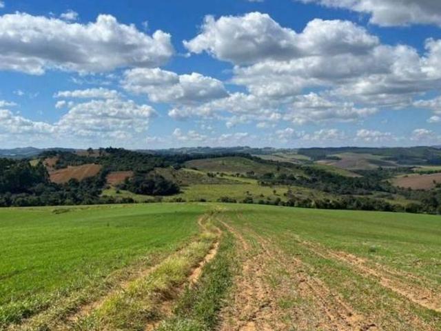 Sítio e chácara venda em Ipeúna