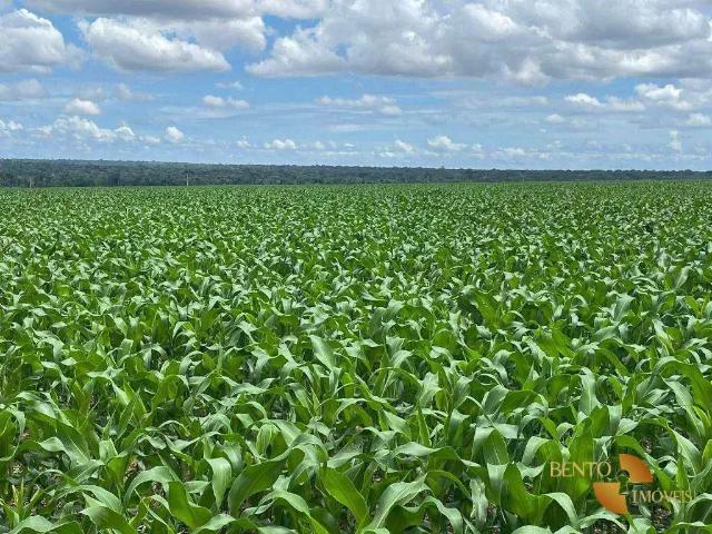 Fazenda venda em Região Geográfica Imediata de Sorriso, Ipiranga do Norte