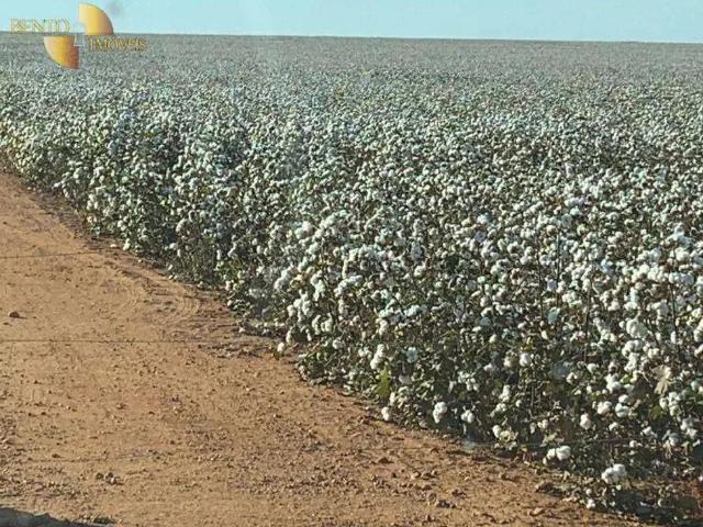 Fazenda venda em Região Geográfica Imediata de Sorriso, Ipiranga do Norte