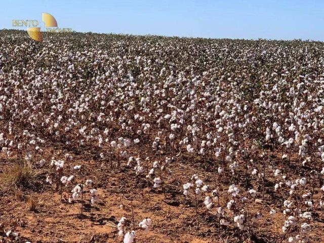 Fazenda venda em Região Geográfica Imediata de Sorriso, Ipiranga do Norte