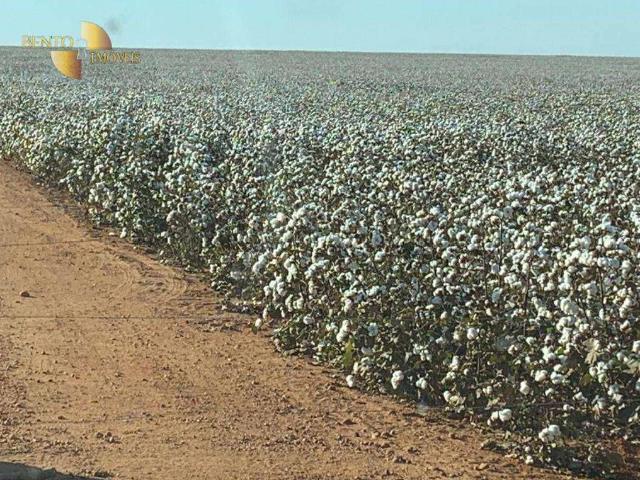 Fazenda venda em Ipiranga do Norte, Região Geográfica Intermediária de Sinop