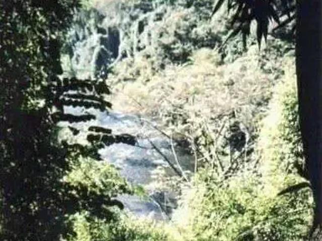 Fazenda venda em Região Imediata de Catanduva, Jataúba