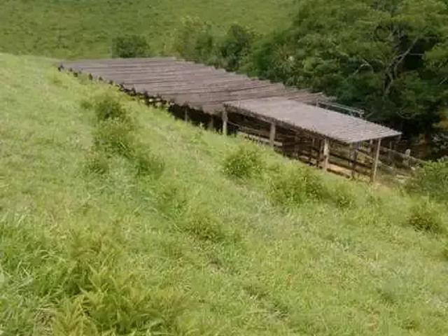 Fazenda venda em Região Imediata de Registro, Iporanga