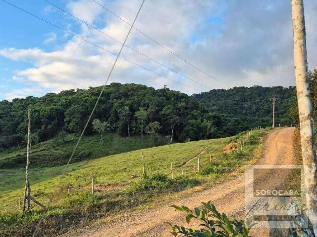 Fazenda venda em Região Imediata de Registro, Iporanga