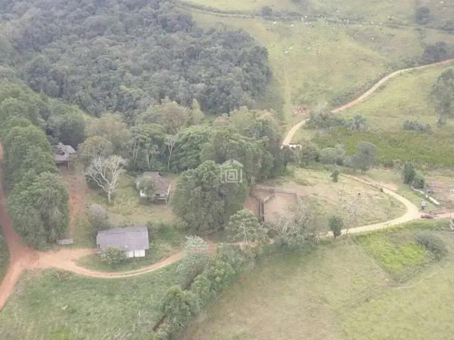 Fazenda venda em Região Geográfica Imediata de Pouso Alegre, Ipuiúna