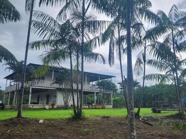 Fazenda venda em Região Geográfica Imediata de Manaus, Caapiranga