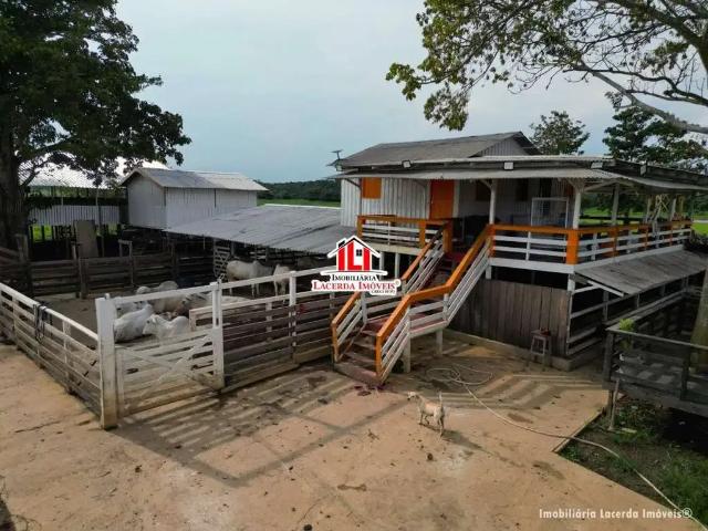 Fazenda venda em Região Geográfica Imediata de Manaus, Caapiranga