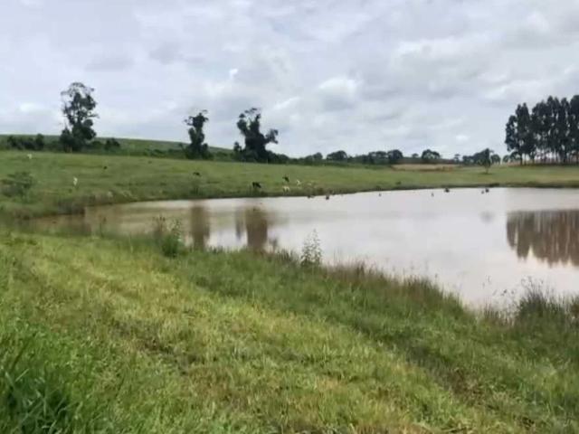 Fazenda venda em Irati, Região Geográfica Intermediária de Ponta Grossa