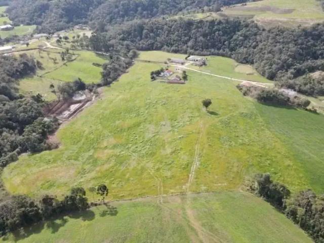 Fazenda venda em Região Geográfica Imediata de Irati, Irati
