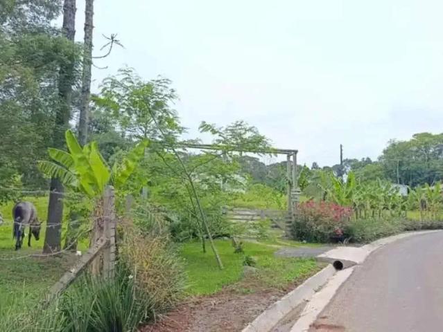 Fazenda venda em Região Geográfica Imediata de Irati, Irati