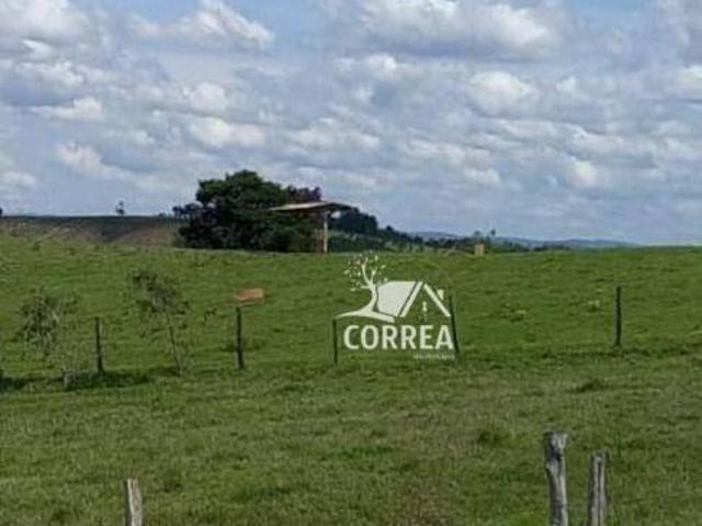 Sítio e chácara venda em Região Imediata de Itapeva, Itaberá