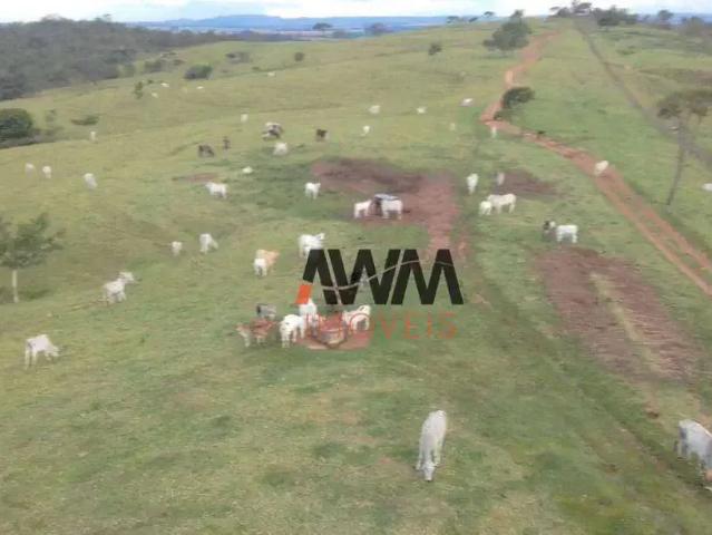 Fazenda venda em Região Geográfica Imediata de Anápolis, Anápolis