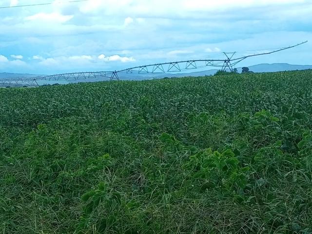 Fazenda venda em Região Geográfica Imediata de Inhumas - Itaberaí - Anicuns, Itaberaí