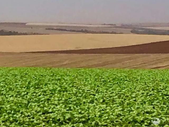 Fazenda venda em Região Imediata de Itapeva, Itaberá