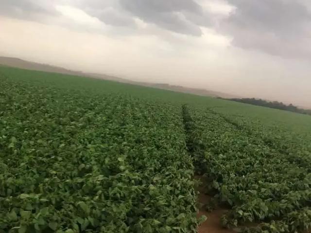 Fazenda venda em Região Imediata de Itapeva, Itaberá