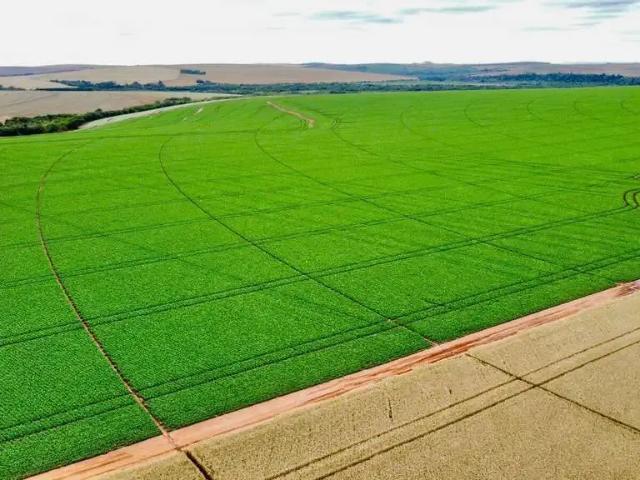 Fazenda venda em Região Imediata de Itapeva, Itaberá