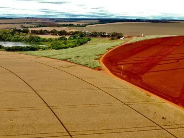 Fazenda venda em Região Imediata de Itapeva, Itaberá