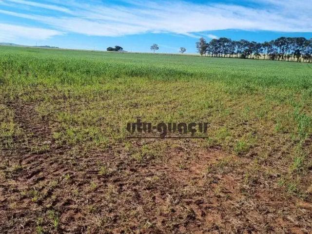 Fazenda venda em Região Imediata de Itapeva, Itaberá