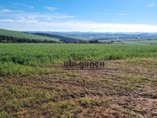Fazenda venda em Região Imediata de Itapeva, Itaberá