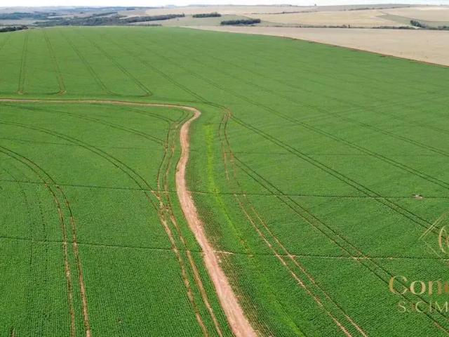 Fazenda venda em Região Imediata de Itapeva, Itaberá