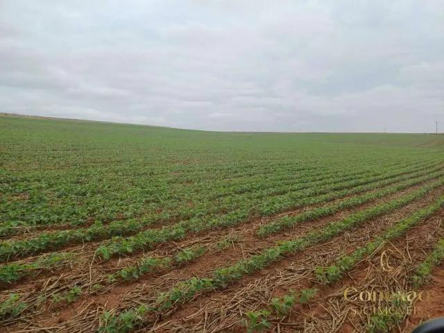 Fazenda venda em Região Imediata de Itapeva, Itaberá