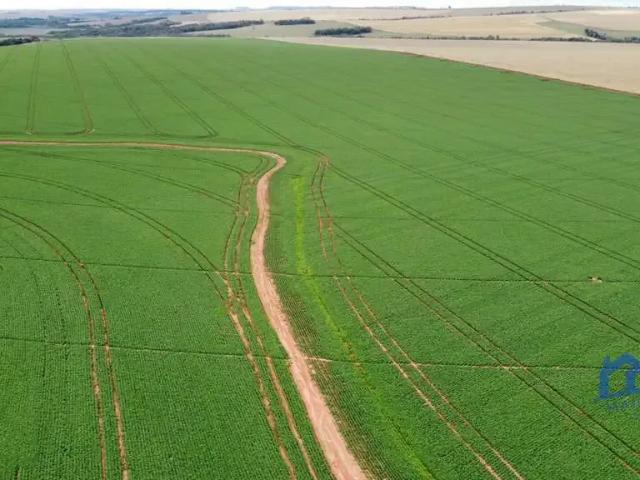 Fazenda venda em Região Imediata de Itapeva, Itaberá