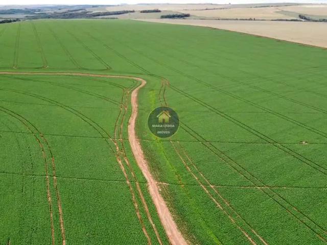 Fazenda venda em Região Imediata de Itapeva, Itaberá