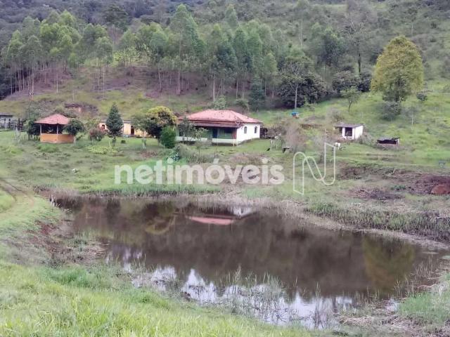 Fazenda venda em Itabira, Região Geográfica Intermediária de Belo Horizonte