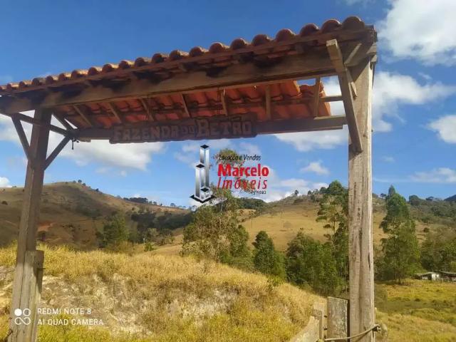 Fazenda venda em Região Geográfica Imediata de Itabira, Itabira