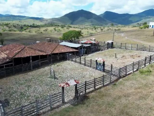 Fazenda venda em Região Geográfica Imediata de Ilhéus – Itabuna, Itabuna